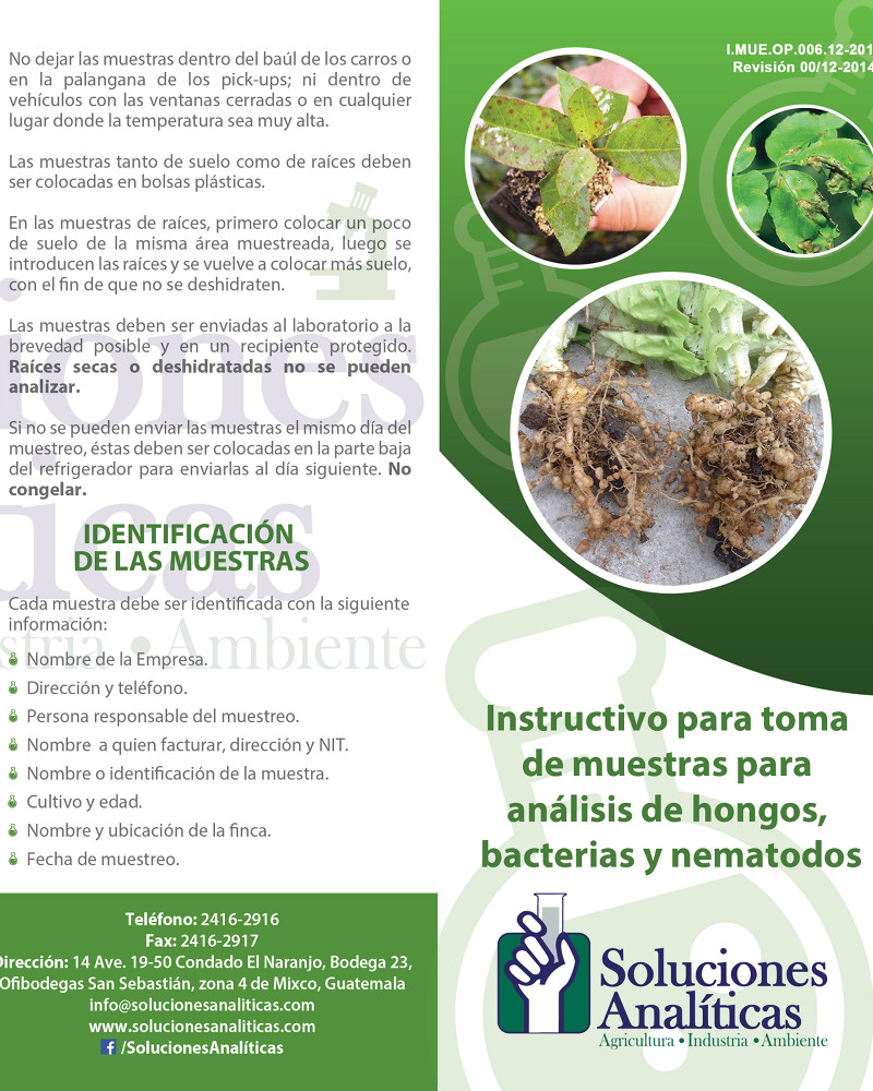 Instructivo Hongos Bacterias Y Nematodos1 Soluciones Analiticas